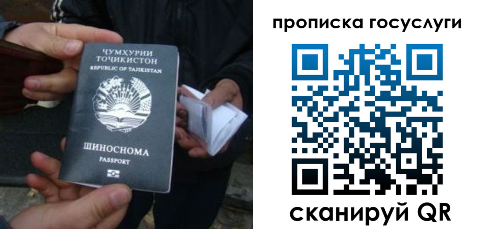 прописка гарантия в Краснодаре